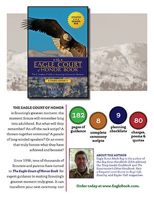 Eagle Court of Honor Book Infographic